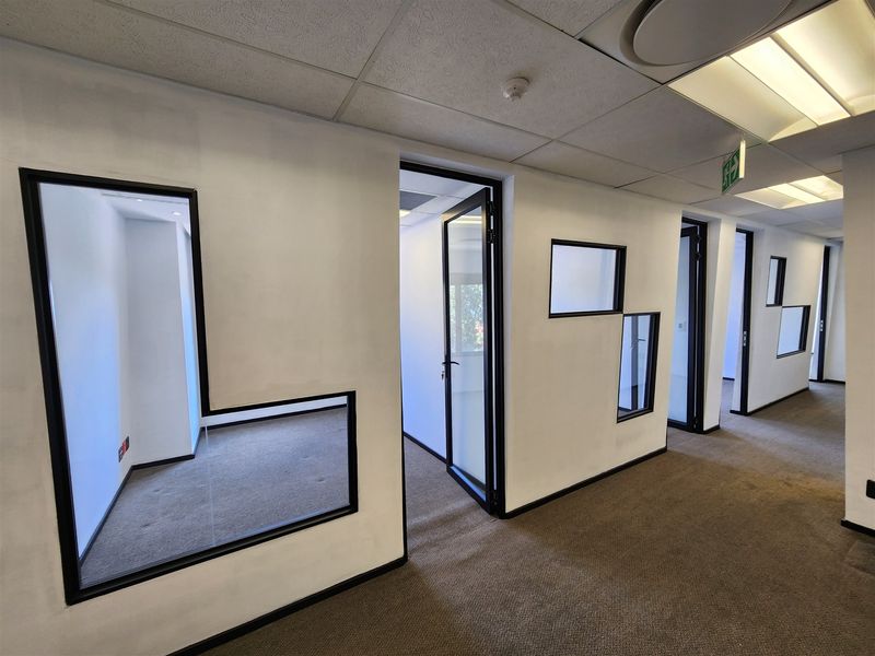A modern office hallway featuring glass partition walls, black metal framing, carpeted flooring, and a suspended ceiling with recessed lighting.