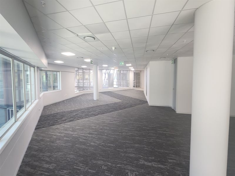 A spacious, open-plan office area featuring a suspended ceiling, recessed lighting, large windows for natural light, and modern carpeted flooring.