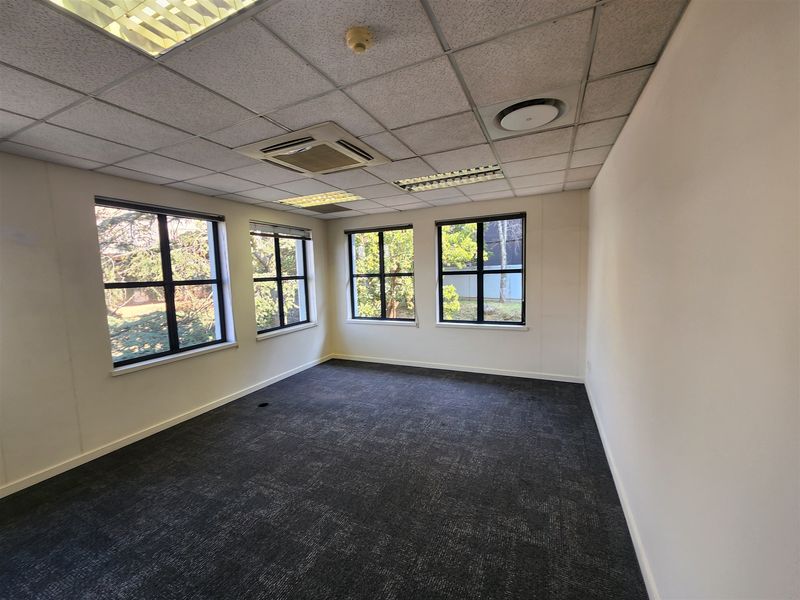 A bright, empty office space featuring carpeted flooring, suspended ceilings with integrated lighting, and large windows providing natural light.