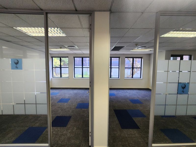 An empty office space featuring carpet tiles, suspended ceilings with recessed lighting, and glass partition walls, offering a clean and professional work environment.