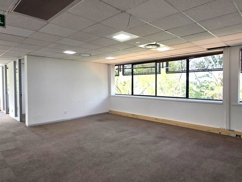An empty, open-plan office space featuring a suspended ceiling with recessed lighting, large windows providing natural light, and perimeter trunking for electrical connectivity.