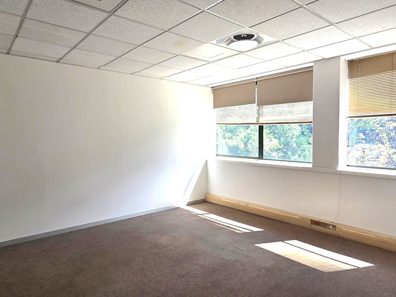 A vacant office space featuring a suspended ceiling, large windows with roller blinds, and carpet flooring, suitable for a professional workspace.