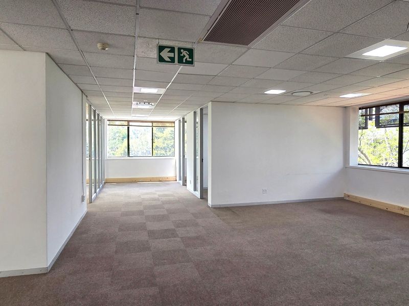 A spacious, vacant office area featuring a suspended ceiling with recessed lighting, carpeted flooring, and large windows providing natural light.