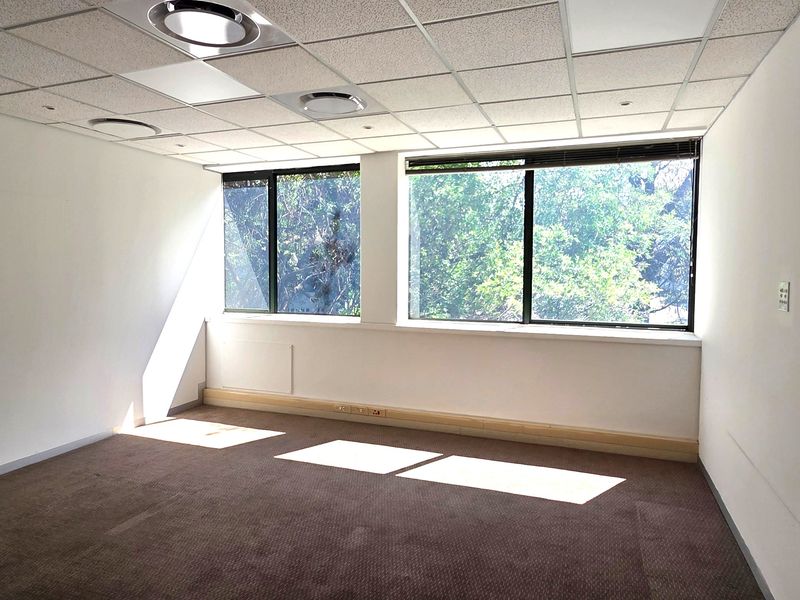 A bright, empty office space featuring a suspended ceiling, recessed lighting, and large windows providing natural light and a pleasant outdoor view.
