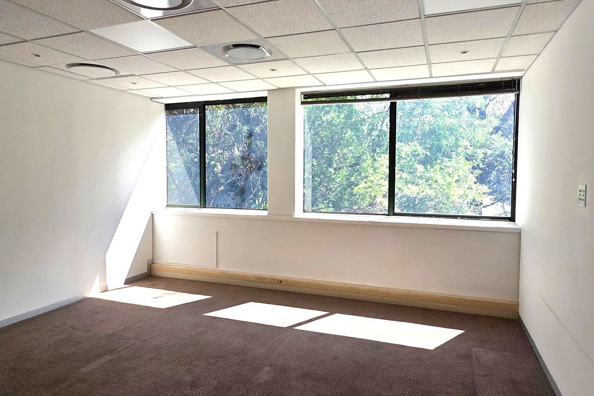 A bright, empty office space featuring a suspended ceiling, recessed lighting, and large windows providing natural light and a pleasant outdoor view.