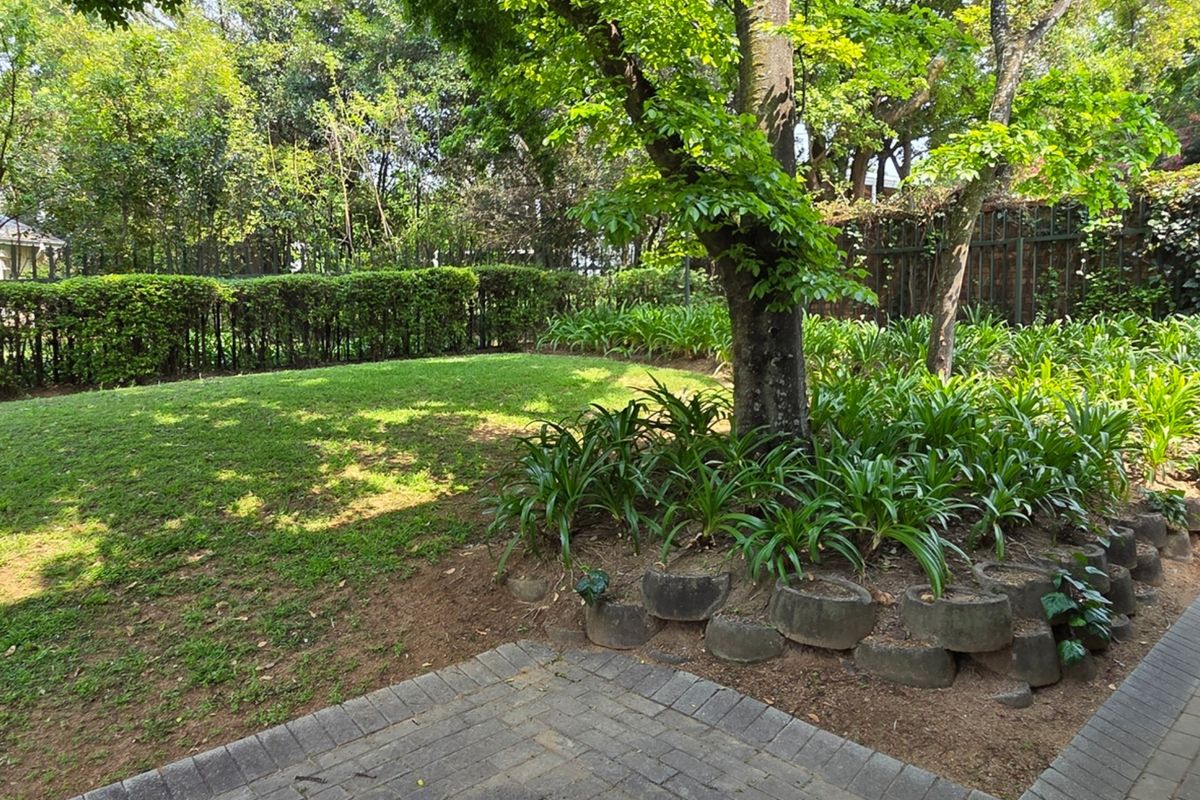 Office space to let in Peter Place - Photo 4