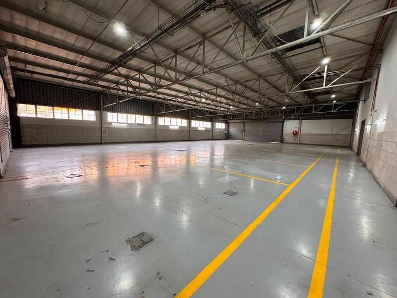 Spacious industrial warehouse unit featuring high ceilings with exposed steel trusses, painted concrete flooring with safety markings, and a large roller shutter door.