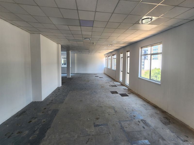 A spacious, vacant open-plan office area featuring a suspended ceiling, recessed lighting, and large windows providing ample natural light.