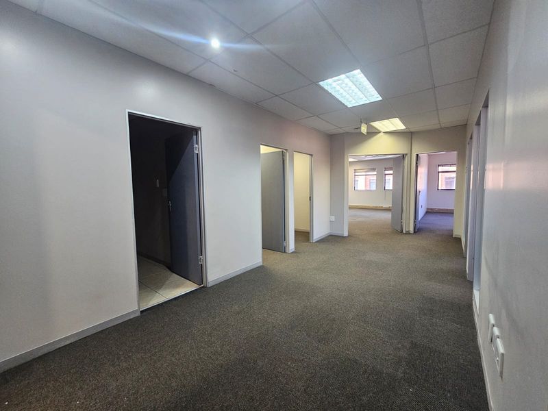 A vacant office hallway featuring carpeted flooring, suspended ceilings with recessed lighting, and multiple internal doorways leading to separate office spaces.