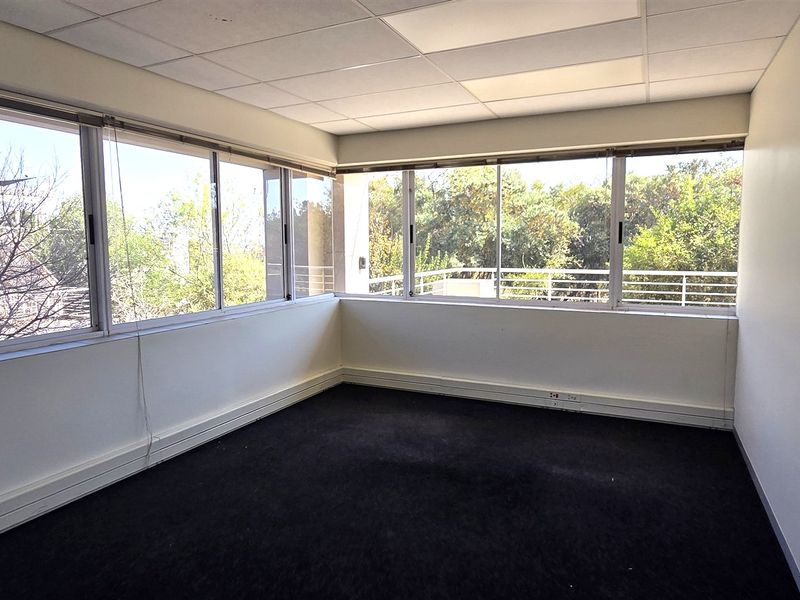A bright, empty office space featuring large windows, a suspended ceiling, and carpeted flooring, offering a functional environment for professional use.