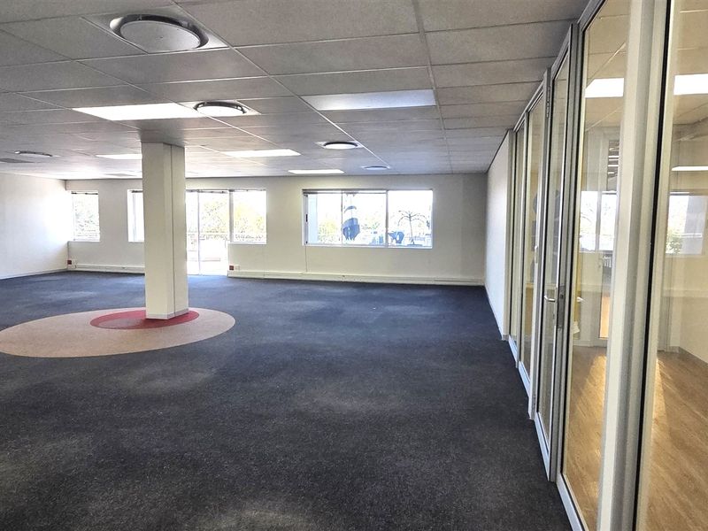 Spacious open-plan office area featuring a suspended ceiling, recessed lighting, carpeted flooring, and glass-partitioned private office spaces.