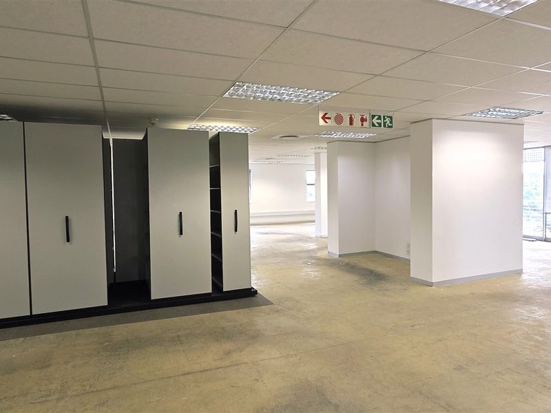 Spacious open-plan office area featuring suspended ceilings, recessed lighting, large windows for natural light, and integrated mobile shelving units.