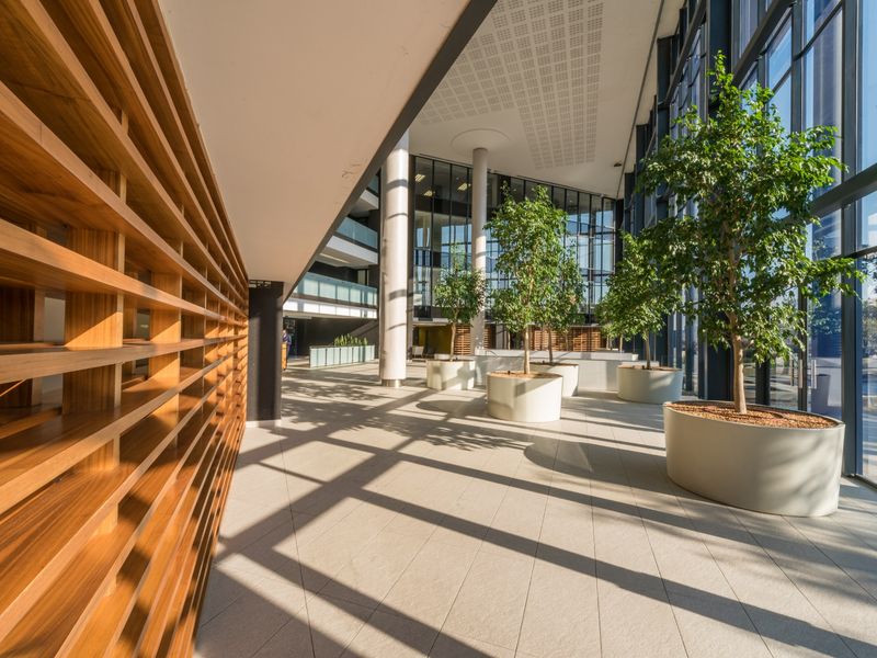 Spacious modern office lobby featuring floor-to-ceiling glass windows, tiled flooring, and a striking timber slat feature wall with integrated structural columns.