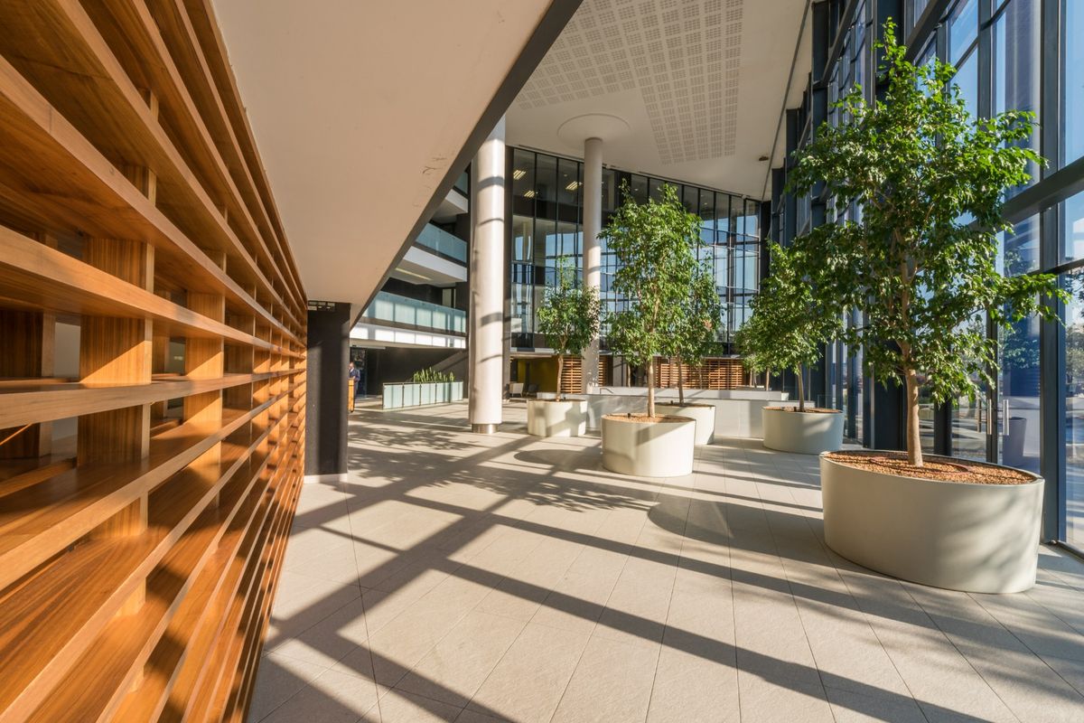 Spacious modern office lobby featuring floor-to-ceiling glass windows, tiled flooring, and a striking timber slat feature wall with integrated structural columns.