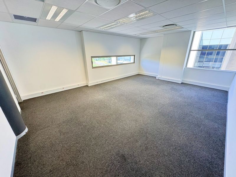 A bright, vacant office space featuring neutral carpeting, a suspended ceiling with recessed lighting, and large windows providing ample natural light.
