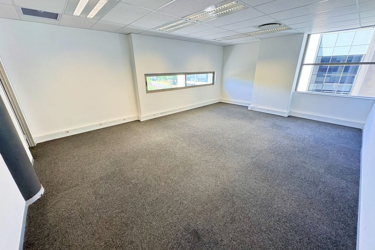 A bright, vacant office space featuring neutral carpeting, a suspended ceiling with recessed lighting, and large windows providing ample natural light.