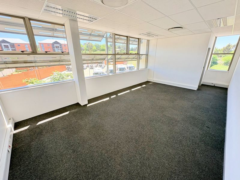 A bright, empty office space featuring large windows, carpeted flooring, and a suspended ceiling with recessed lighting, offering a clean professional environment.