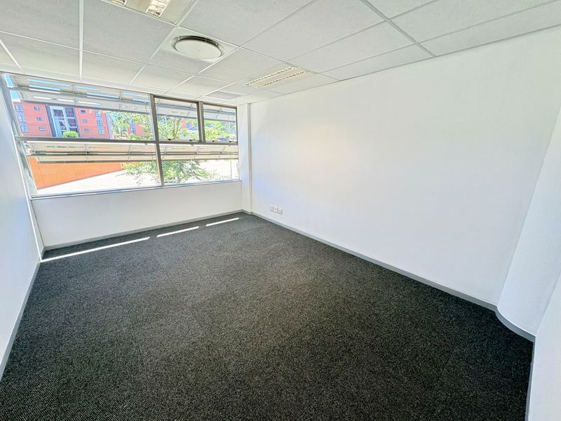 A bright, empty office space featuring neutral carpeted flooring, a suspended ceiling with recessed lighting, and large windows providing natural light.
