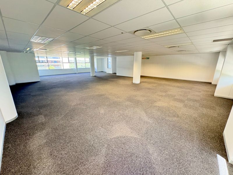 A spacious, open-plan office area featuring neutral carpeting, a suspended ceiling with recessed lighting, and large windows providing ample natural light.