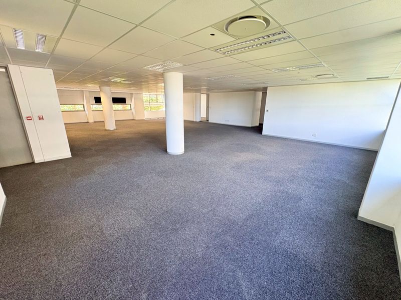 A spacious, open-plan office area featuring neutral carpeting, a suspended ceiling with recessed lighting, and structural columns, offering a versatile workspace.