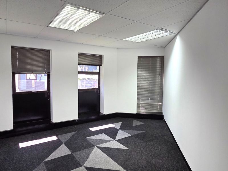 A bright, empty office space featuring a suspended ceiling with recessed lighting, patterned carpet tiles, and large windows fitted with venetian blinds.