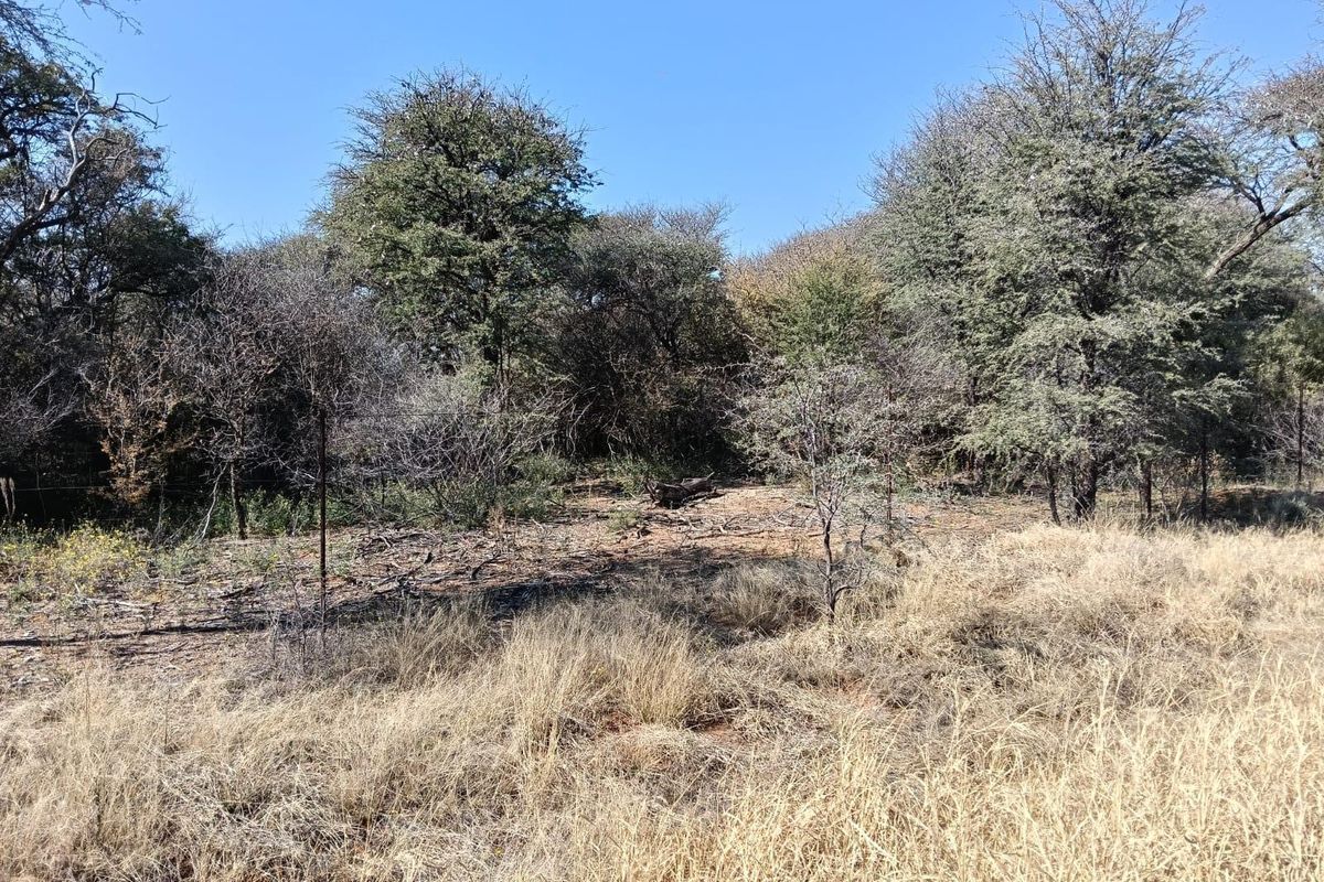 A view of the natural farm landscape featuring indigenous trees and dry grassland, enclosed by a wire fence.