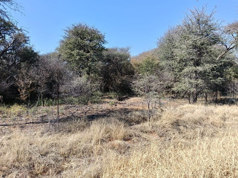 A view of the natural farm landscape featuring indigenous trees and dry grassland, enclosed by a wire fence.