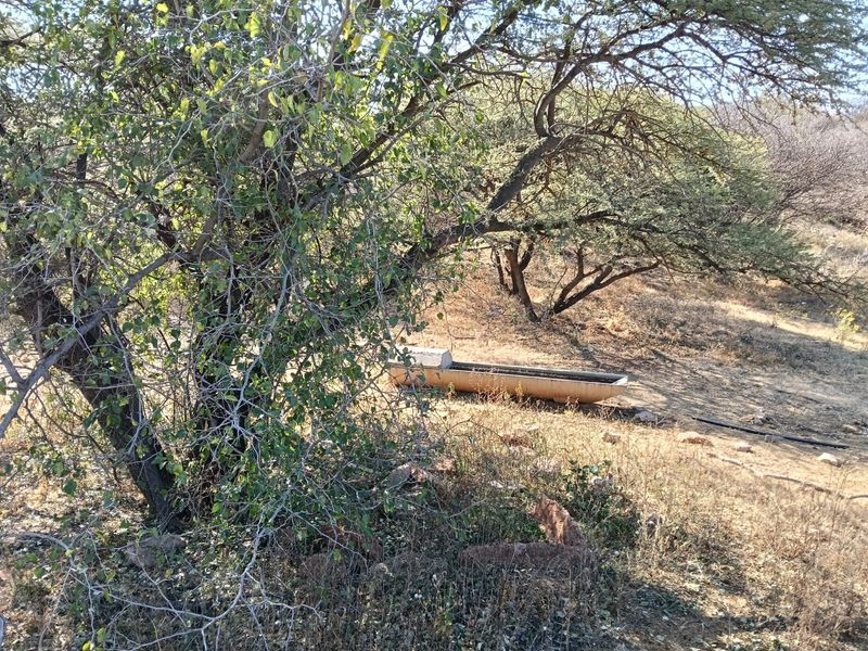 A natural farm landscape featuring mature trees, dry vegetation, and a functional livestock water trough with visible irrigation infrastructure.