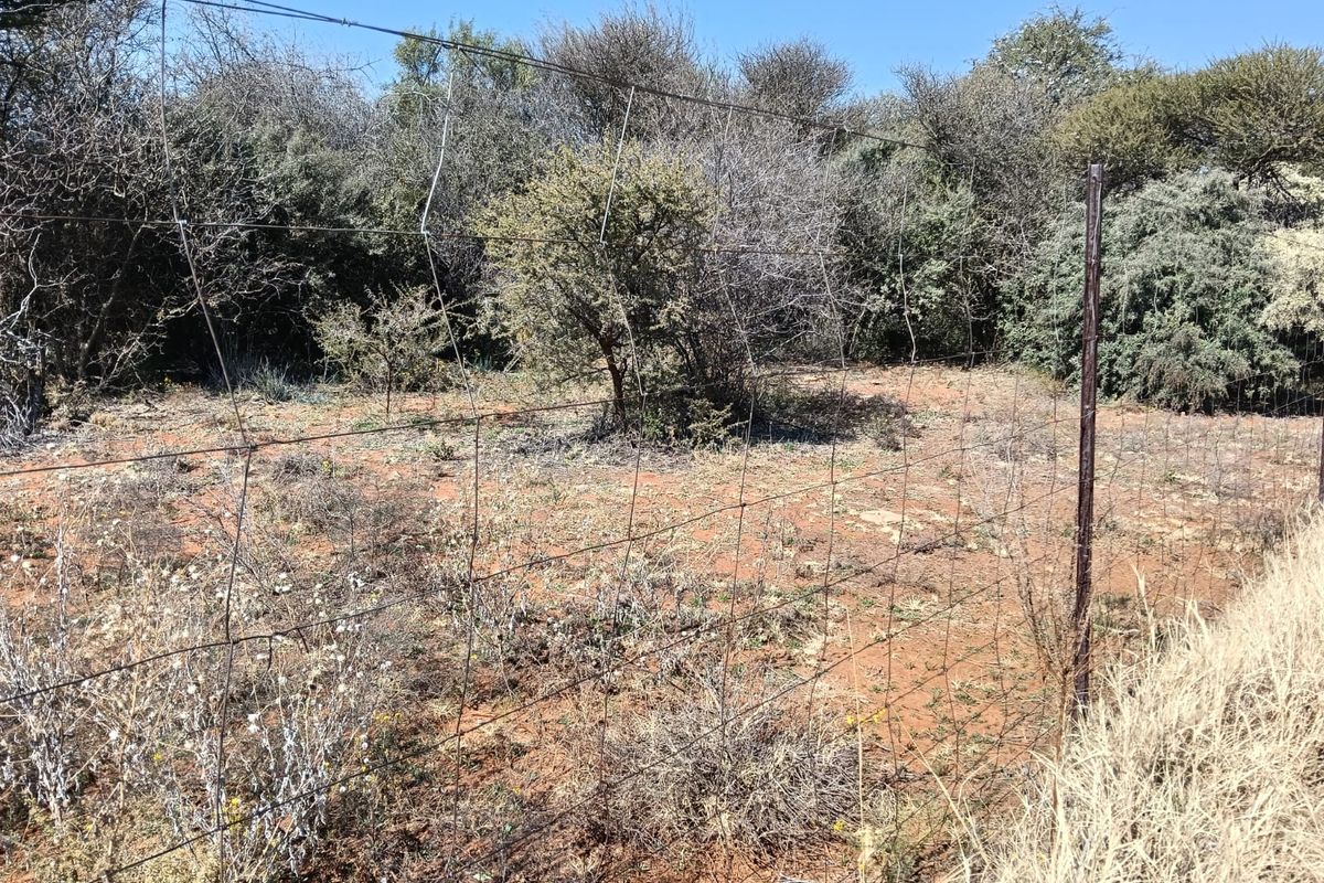 A view of a rural farm plot enclosed by wire mesh fencing with natural vegetation and dry ground.