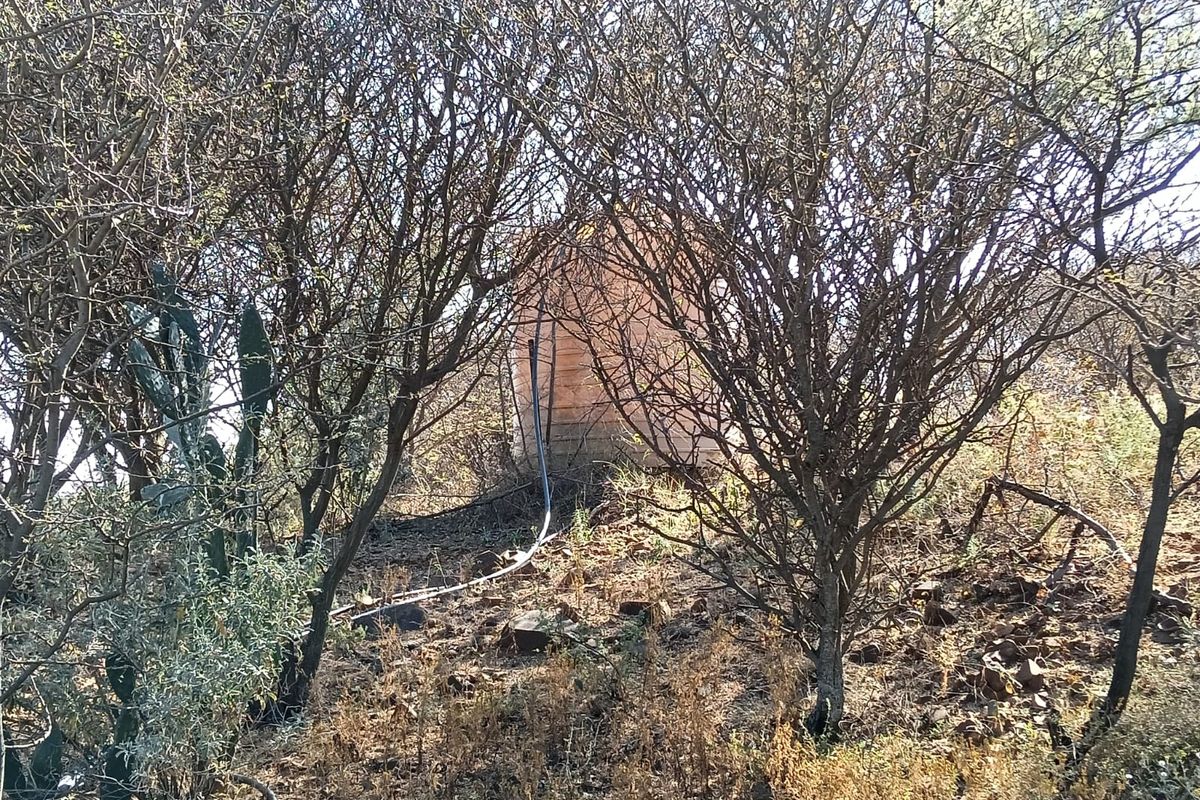A view of a water storage tank situated within a natural, overgrown garden area on the farm property.