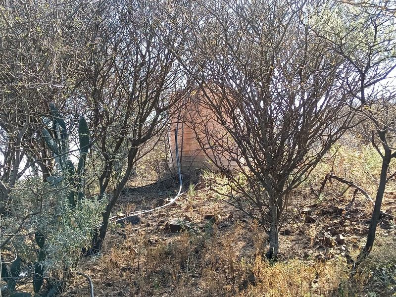 A view of a water storage tank situated within a natural, overgrown garden area on the farm property.