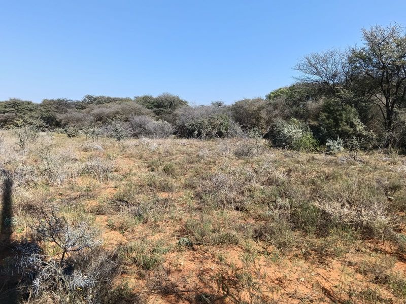 A view of the natural, undeveloped farm landscape featuring native shrubs and trees under a clear blue sky.