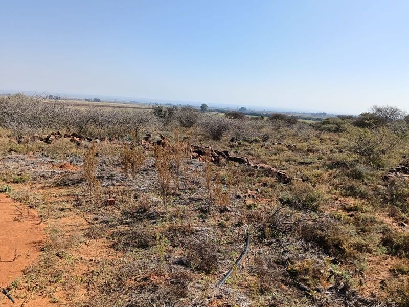 Expansive view of the natural farm landscape featuring native vegetation and rocky terrain under a clear sky.