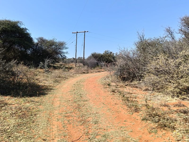 A dirt access road leading through the farm property, featuring overhead power lines and natural bushveld vegetation.