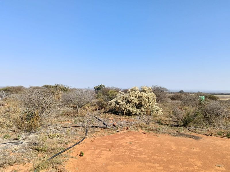 An expansive view of the natural farm landscape featuring native vegetation and exposed irrigation piping across the terrain.