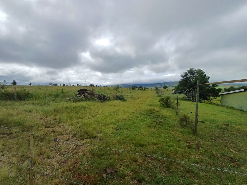 22ha MIDLANDS Smallholding with River frontage -  R2 700 000,00 - Photo 7