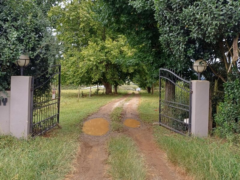 22ha MIDLANDS Smallholding with River frontage -  R2 700 000,00 - Photo 6