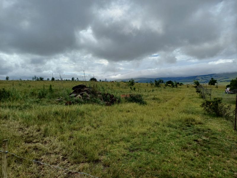 22ha MIDLANDS Smallholding with River frontage -  R2 700 000,00 - Photo 10