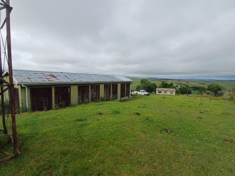 22ha MIDLANDS Smallholding with River frontage -  R2 700 000,00 - Photo 9