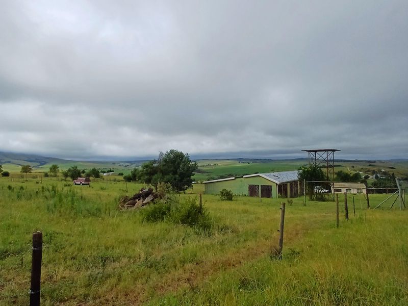 22ha MIDLANDS Smallholding with River frontage -  R2 700 000,00 - Photo 8