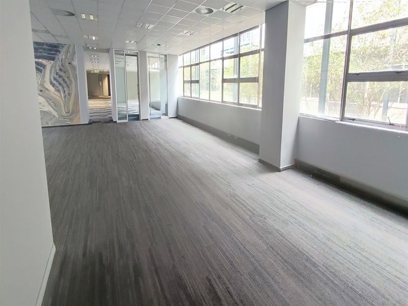 A spacious, vacant office area featuring large windows, modern carpeted flooring, and a suspended ceiling with recessed lighting, offering a bright and professional workspace.