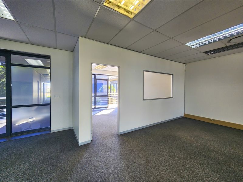 A vacant office space featuring carpeted flooring, suspended ceilings with recessed lighting, and an internal glass partition providing natural light.
