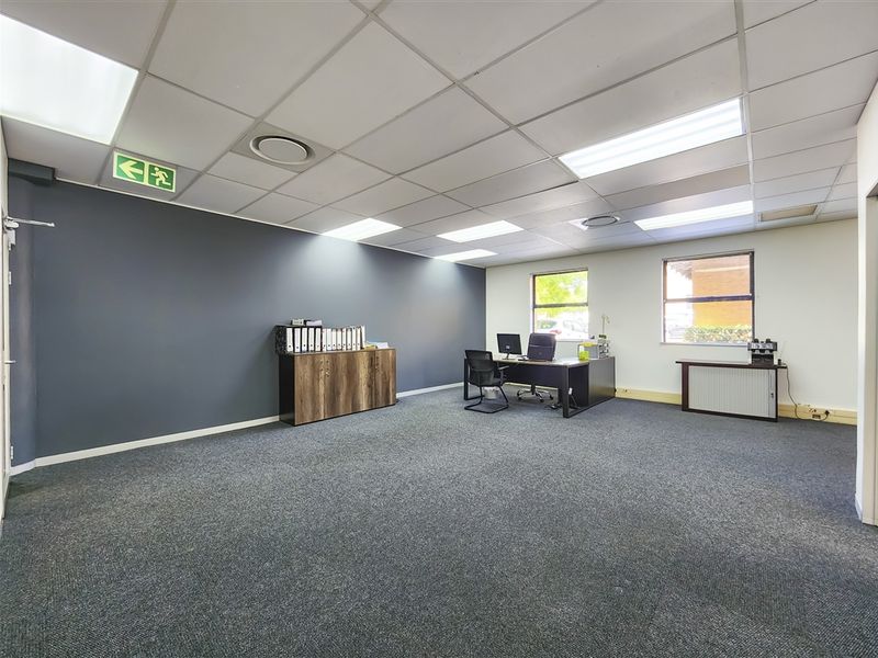 A spacious office area featuring a suspended ceiling with recessed lighting, carpeted flooring, and large windows providing natural light.