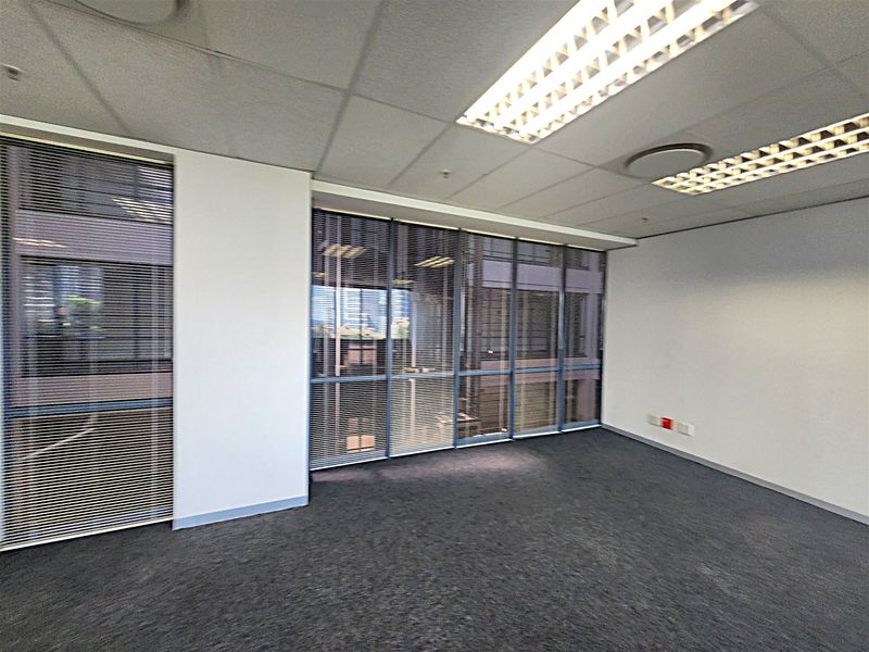 A bright, empty office space featuring large windows with fitted blinds, suspended ceilings with recessed lighting, and neutral carpet flooring.
