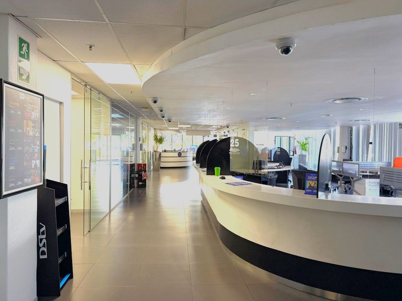A modern, well-maintained office reception area featuring a curved service counter, glass partitions, and professional suspended ceiling lighting.
