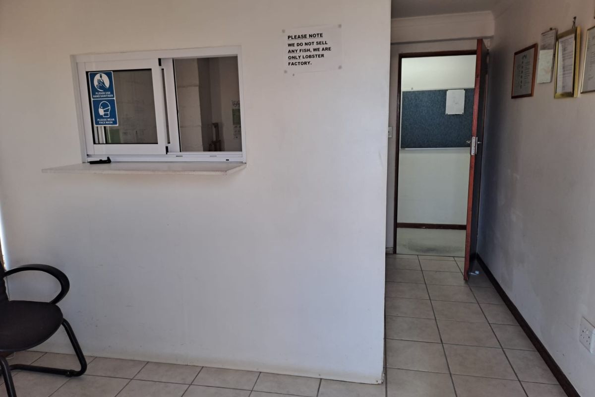 UNIQUE BUSINESS OPPORTUNITY IN KLEINMOND - Photo 5