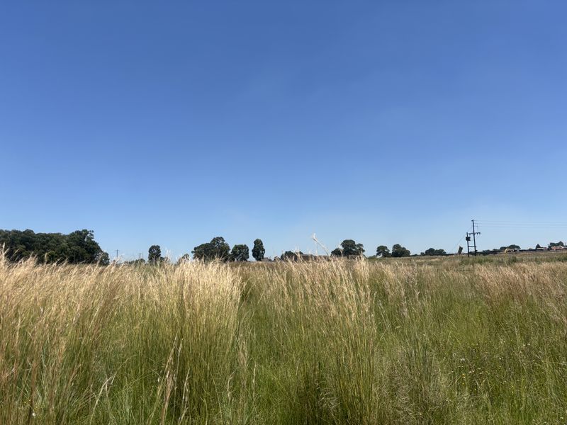Vacant Land For Sale - Photo 5