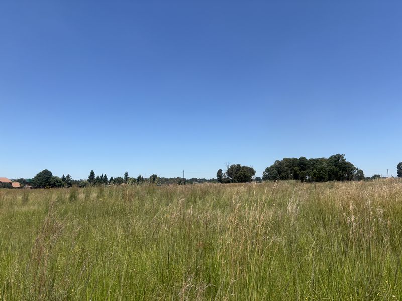 Want Peace and quiet - look at this! - Photo 6