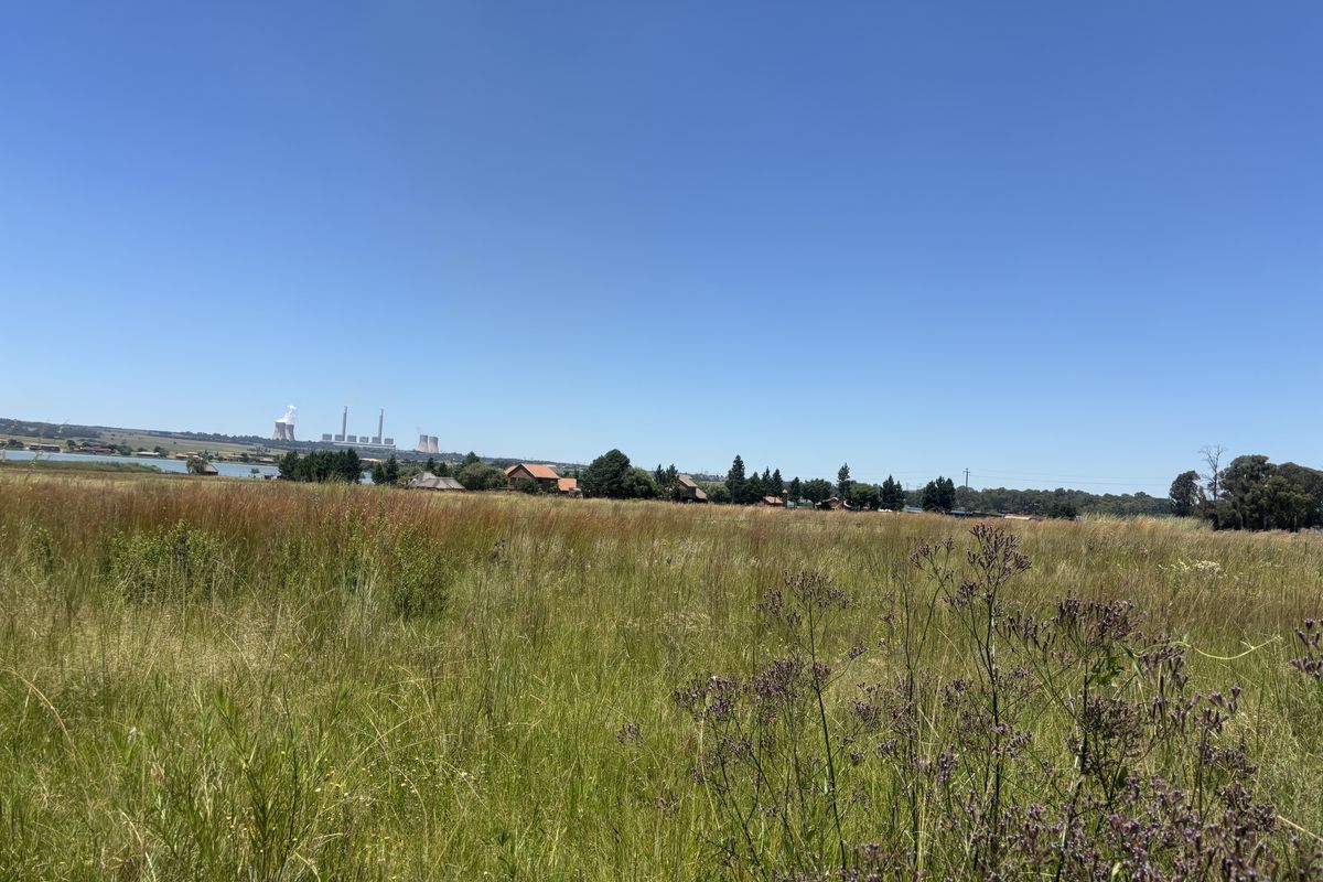 Want Peace and quiet - look at this! - Photo 2