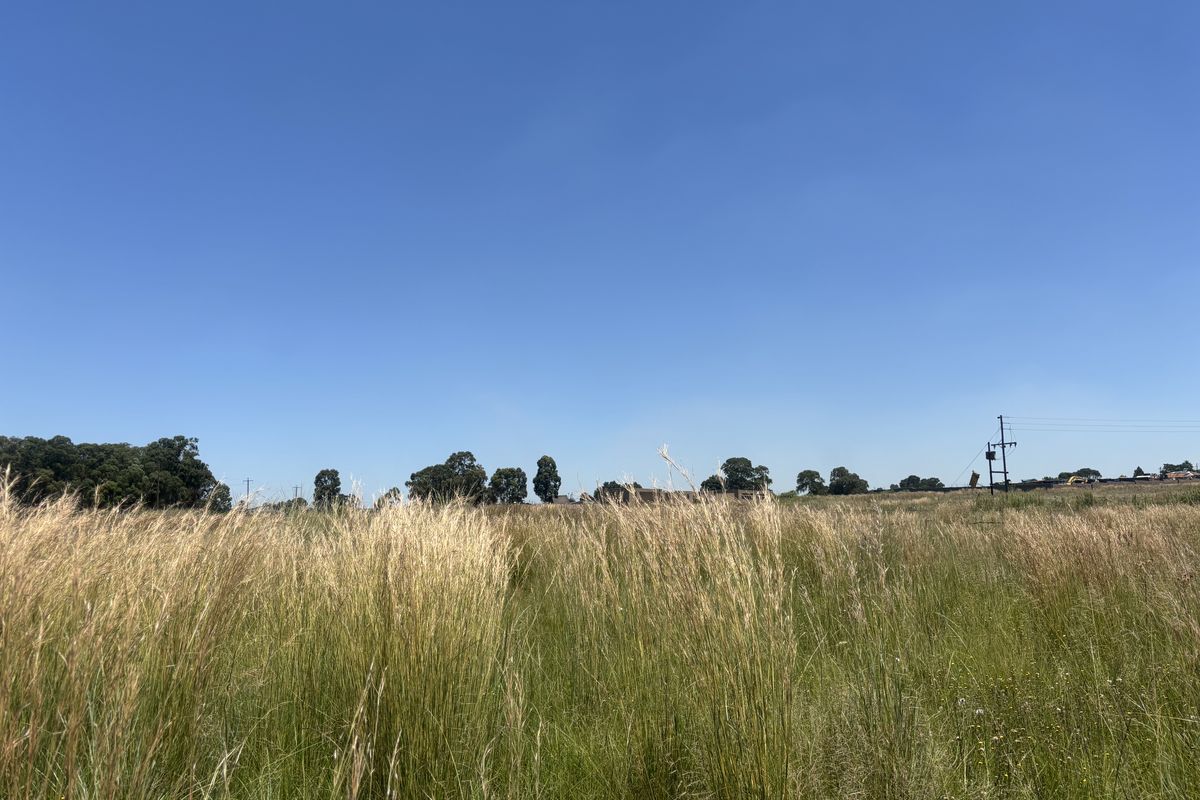 Want Peace and quiet - look at this! - Photo 3